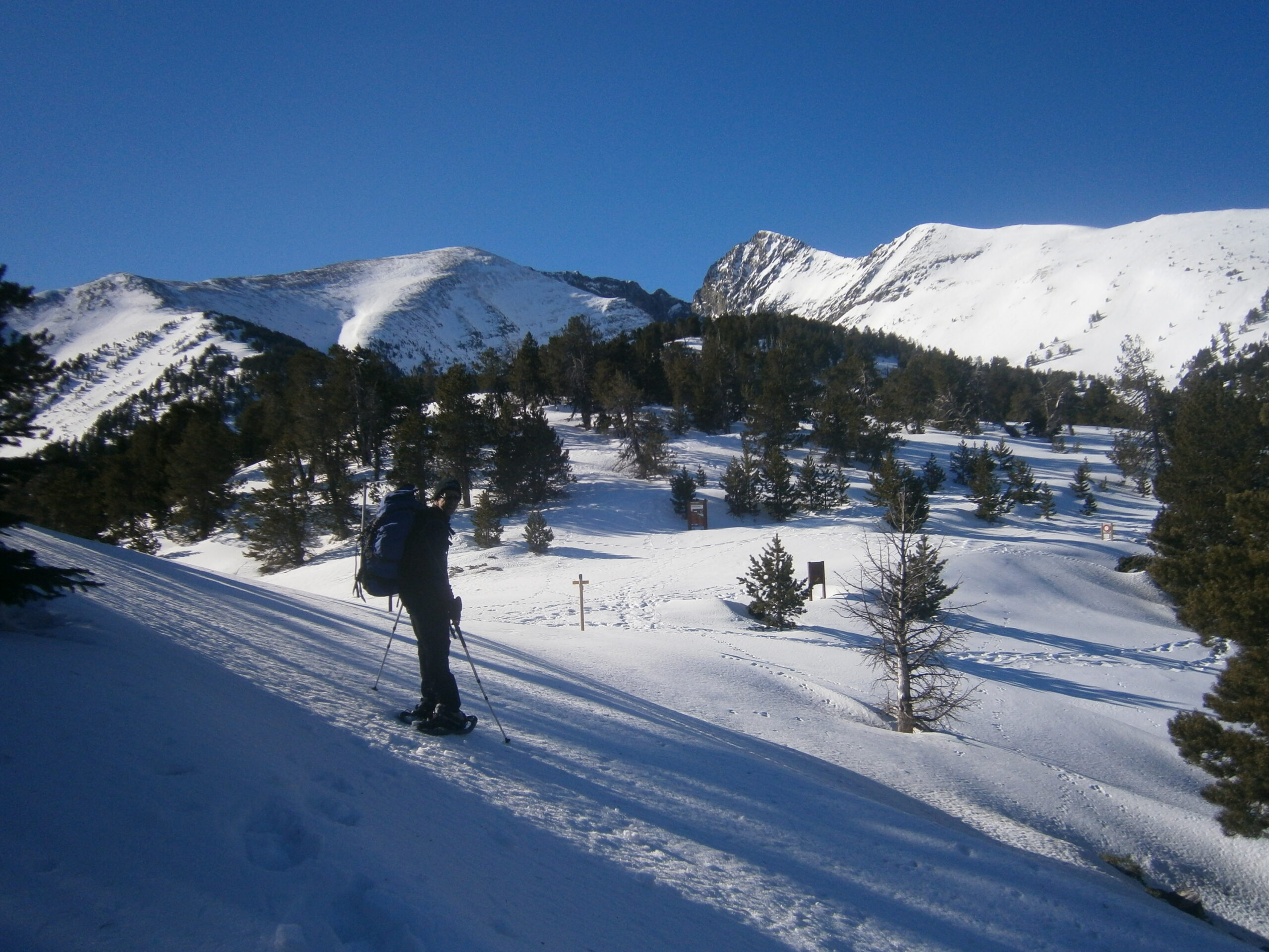 Accompagnateur en Montagne Altitude 66