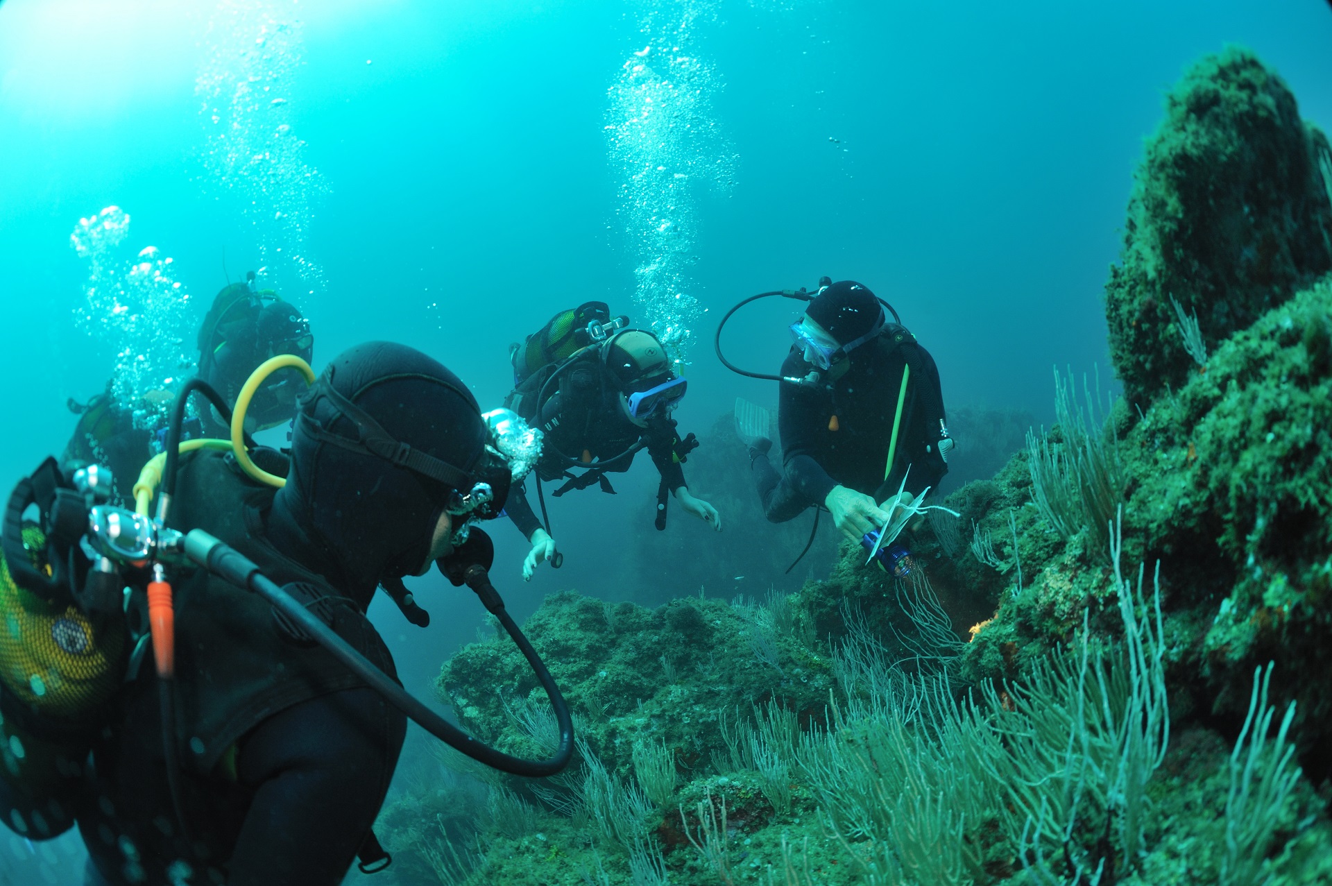 AQUAPLANET – Club de plongée à Saint-Cyprien