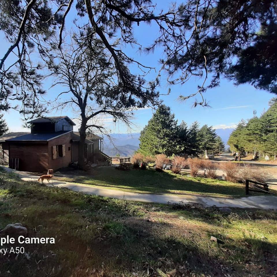 Chalet de l&rsquo;Albere