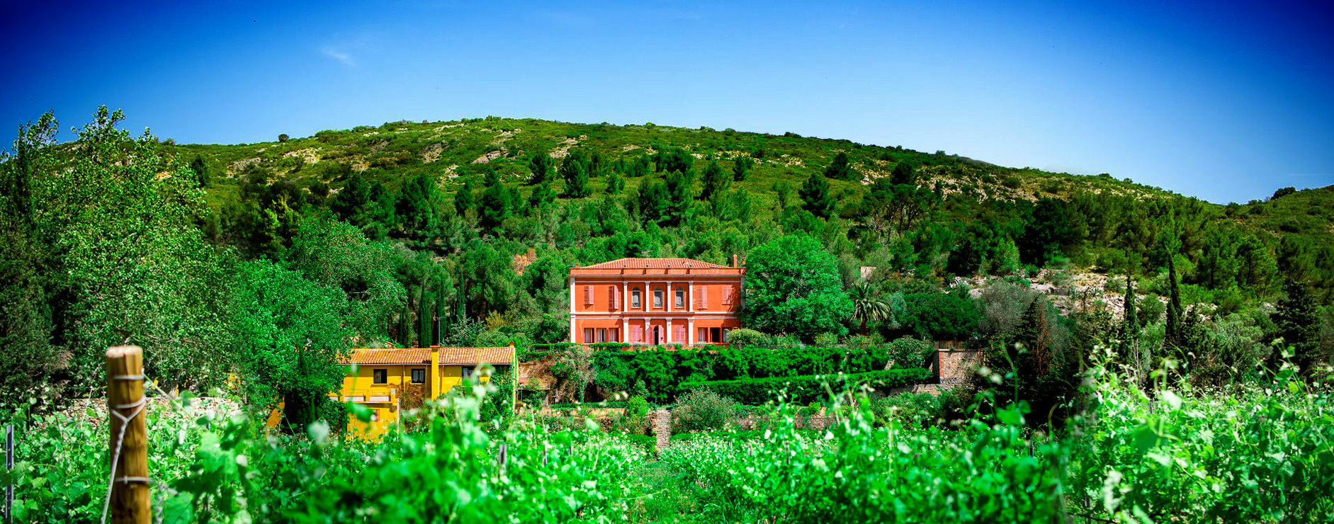 Chateau de Jau Restaurant le Grill