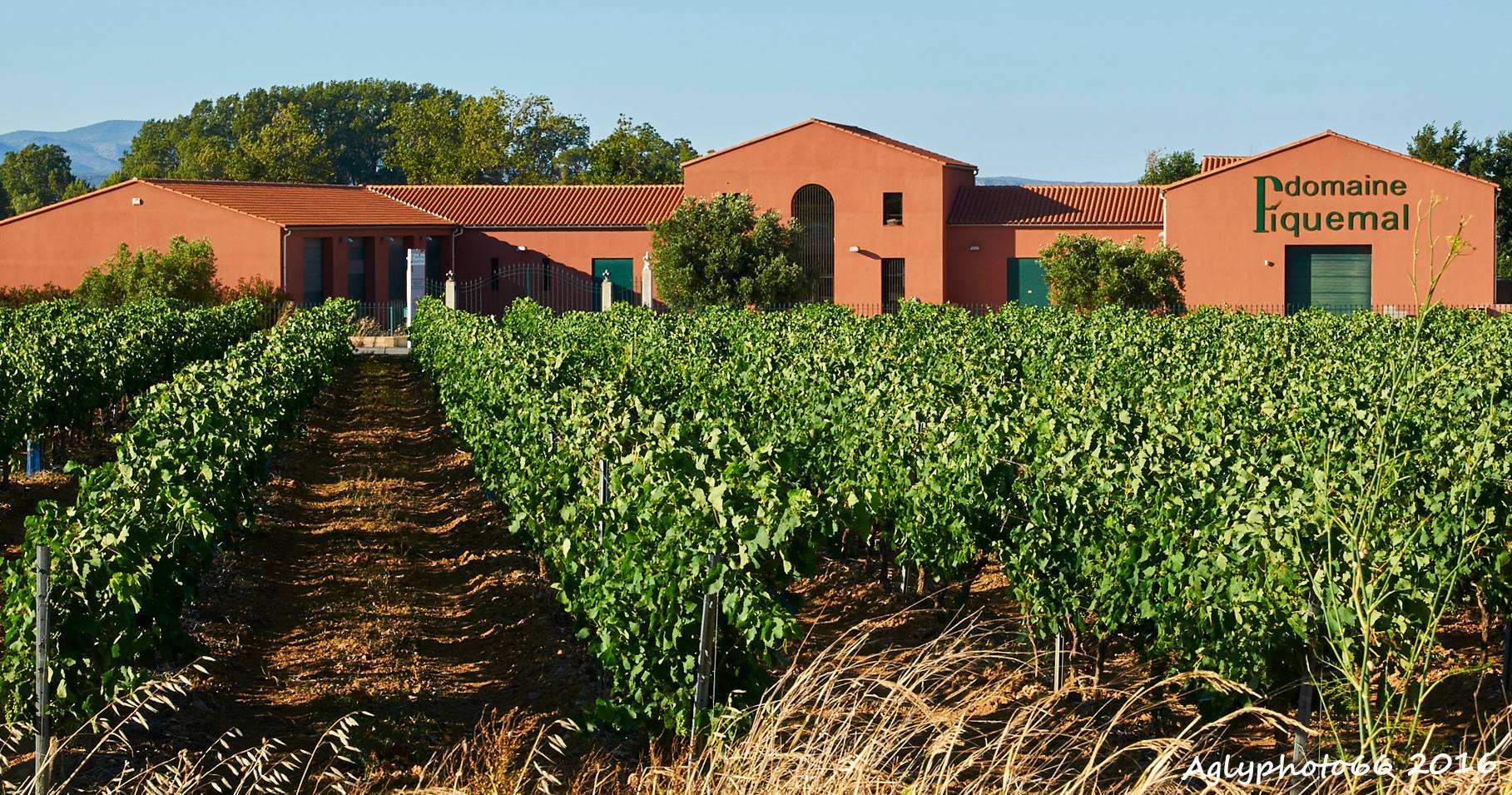 Domaine Piquemal