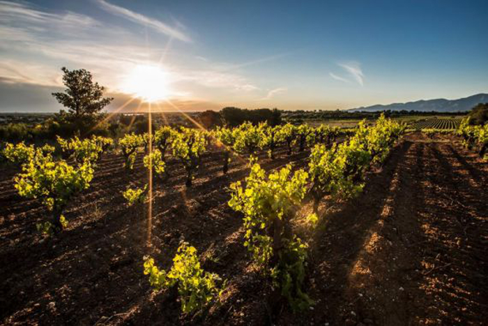 Domaine Sanac