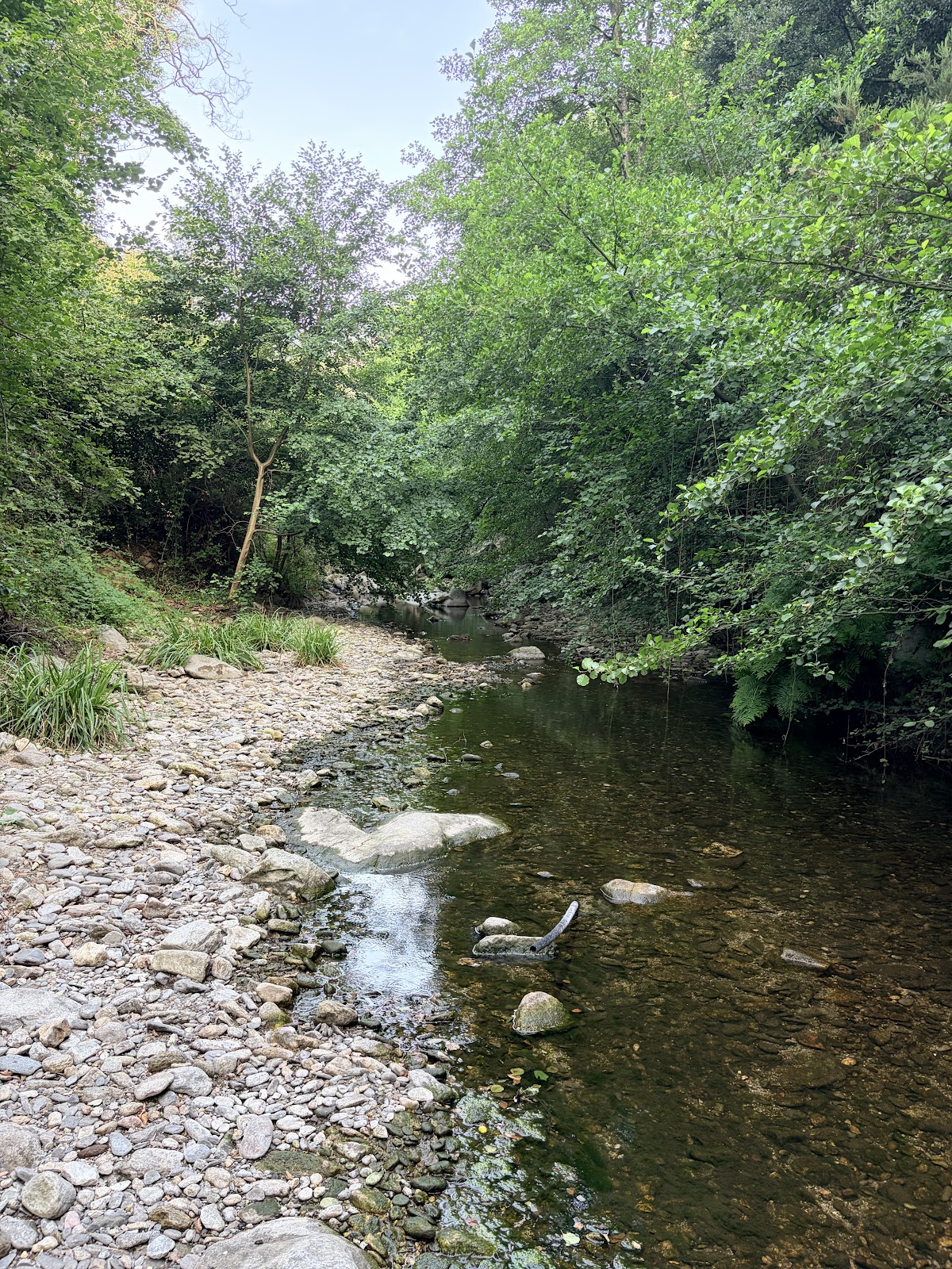 El Martinet
