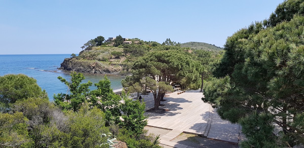 Le Site classé de l’Anse de Paulilles
