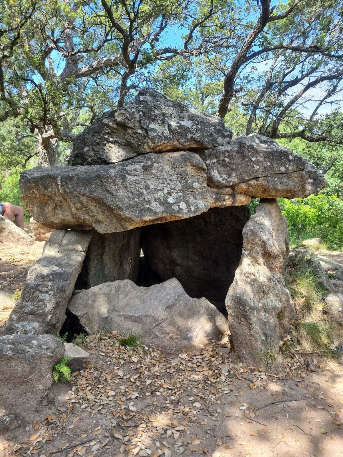 Dolmen cova de l&rsquo;Alarb