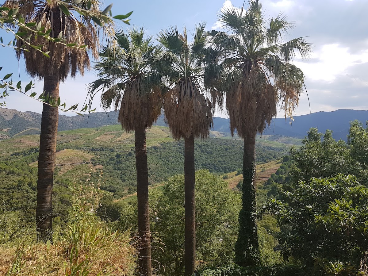Jardin Méditerranéen du Mas de la Serre