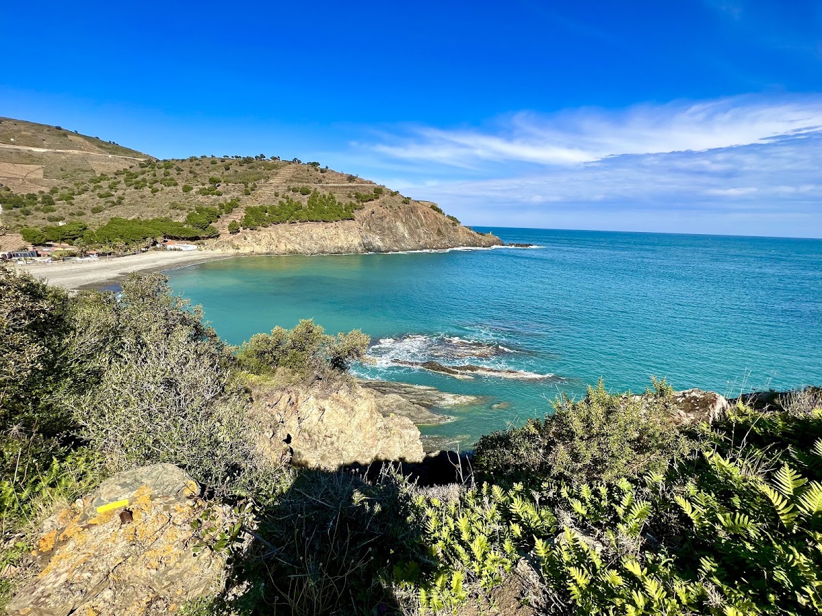 Plage de Peyrefite