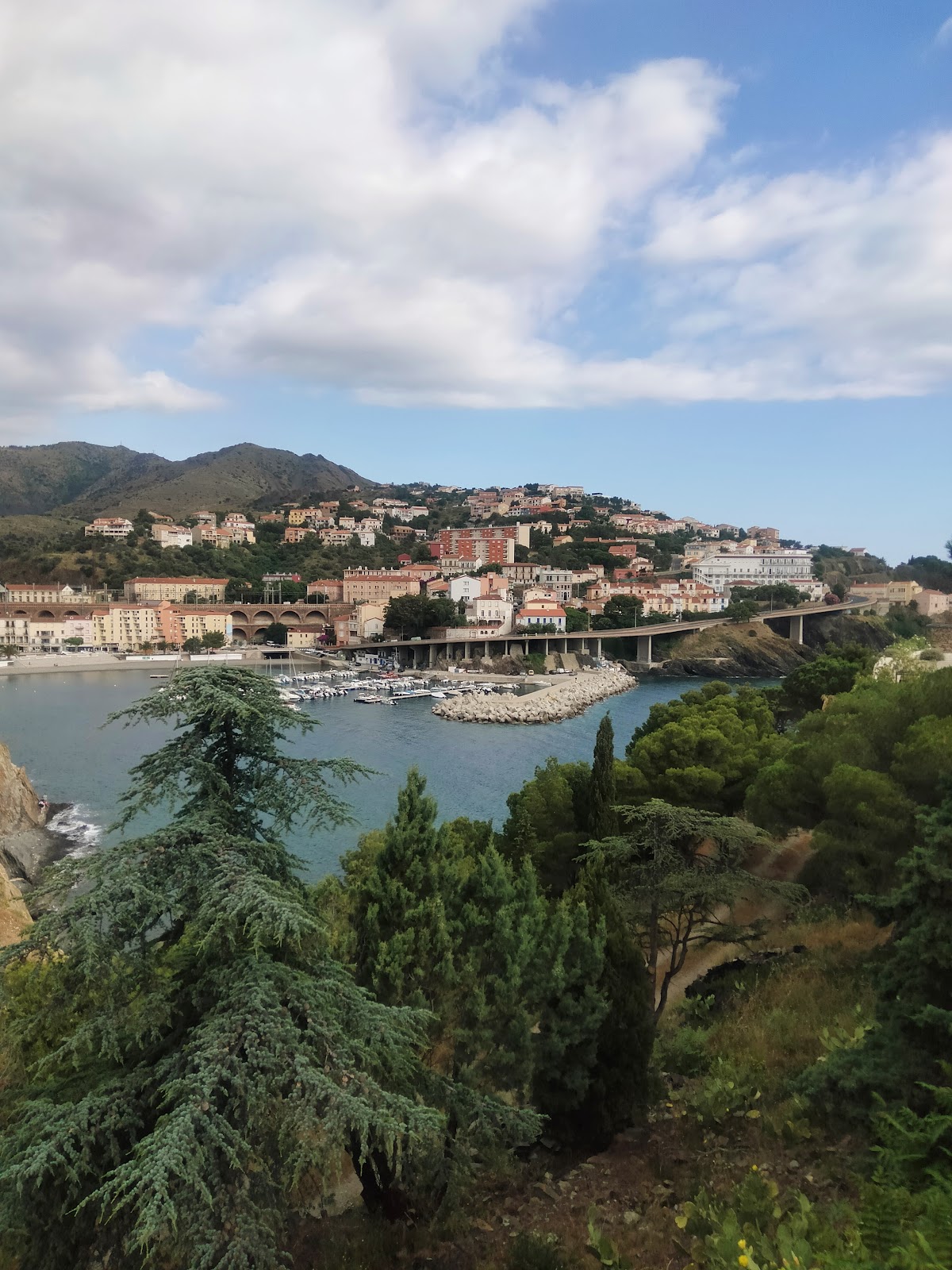 Point de vue sur Cerbère