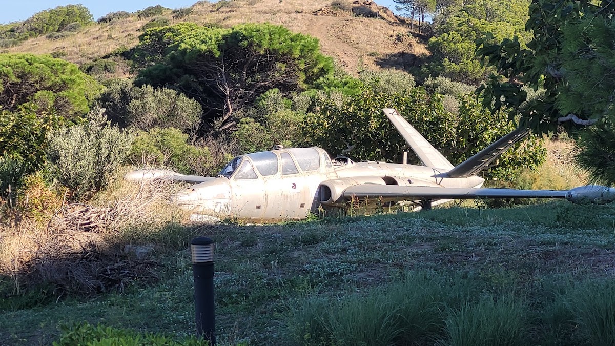 FOUGA MAGISTER Avion militaire de Cerbère