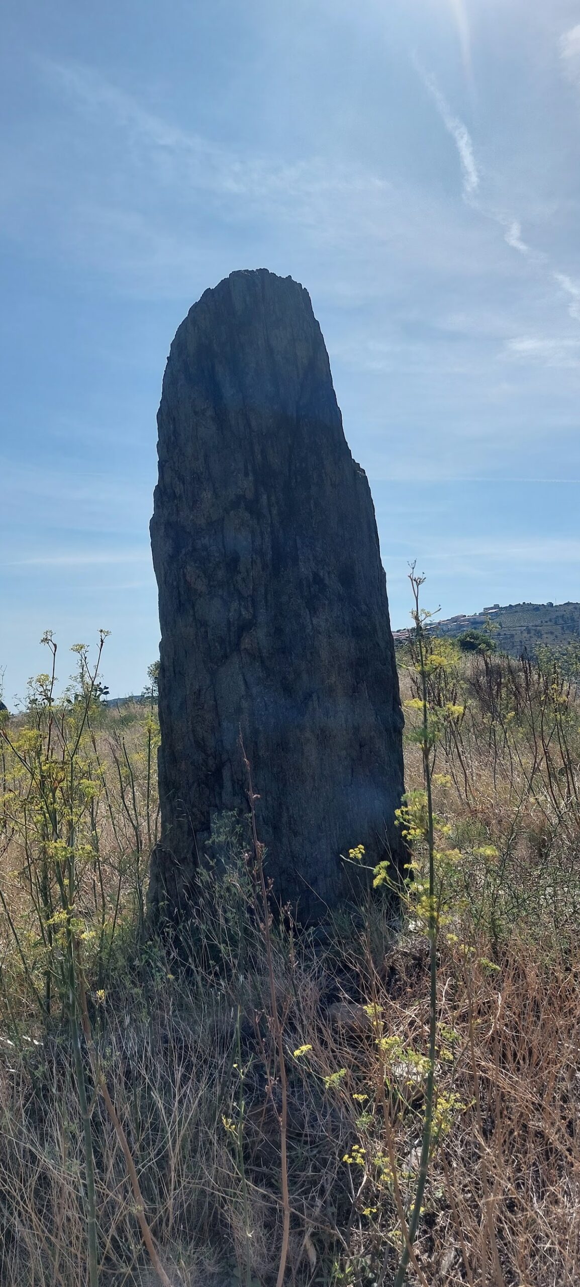 Menhir Pedra dreta de Perafita