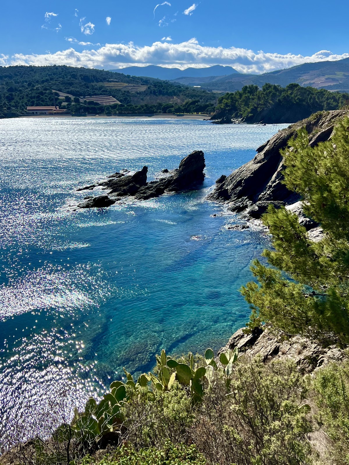 Plage des oursins