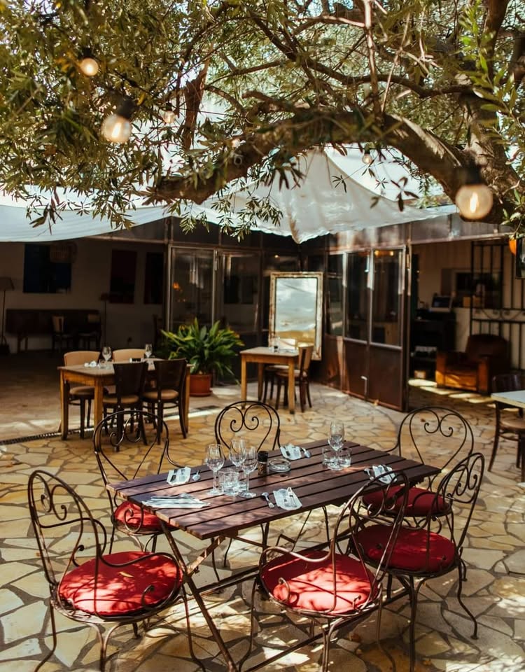 Le Mas Chabry 🍽️| Restaurant – Grillades | Perpignan