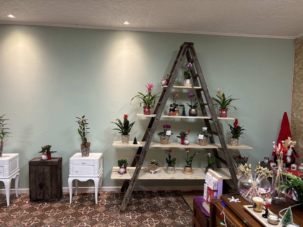 La petite fleuriste d Arles sur tech