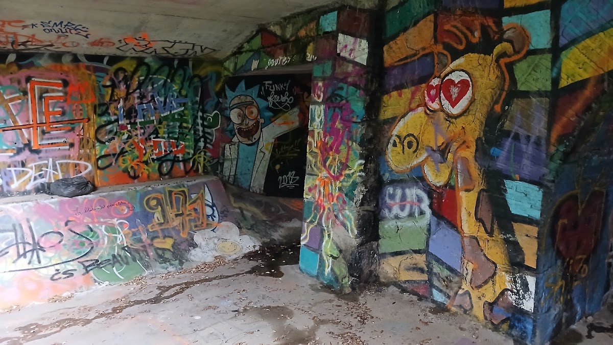 pont des graffitis catafrancien