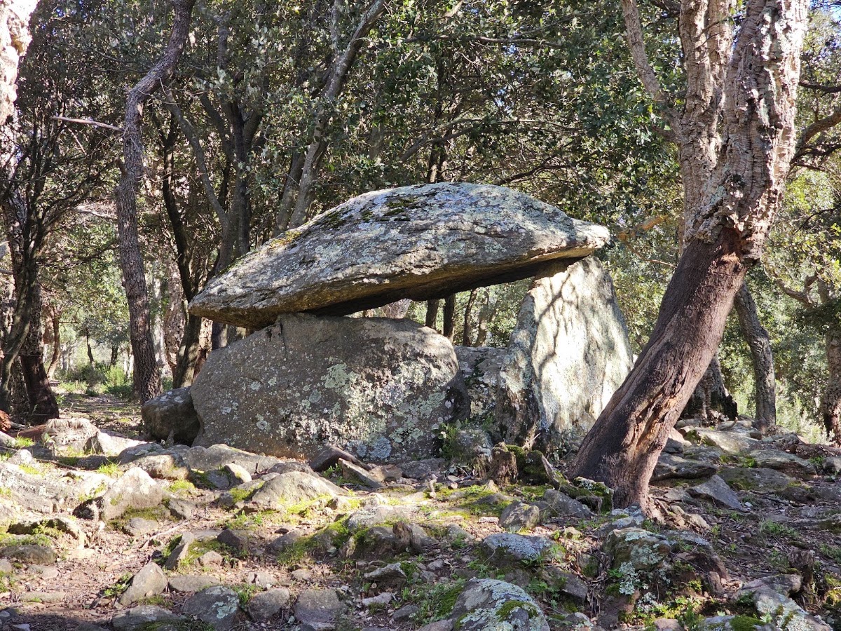 Dolmen de la Siureda