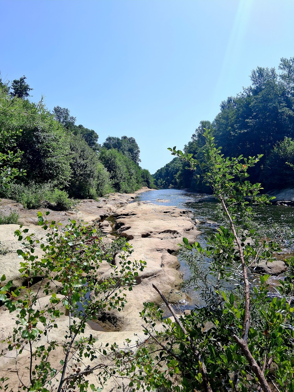Les plages natures de la Têt