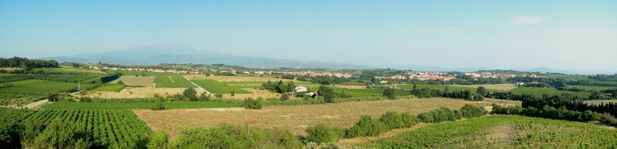Puig del Pal