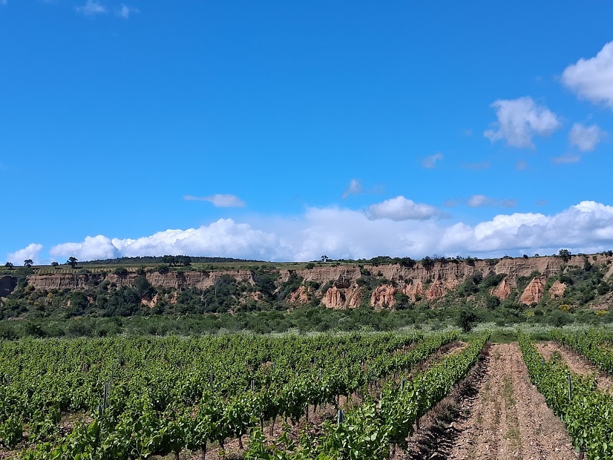 Les Orgues de Terrats