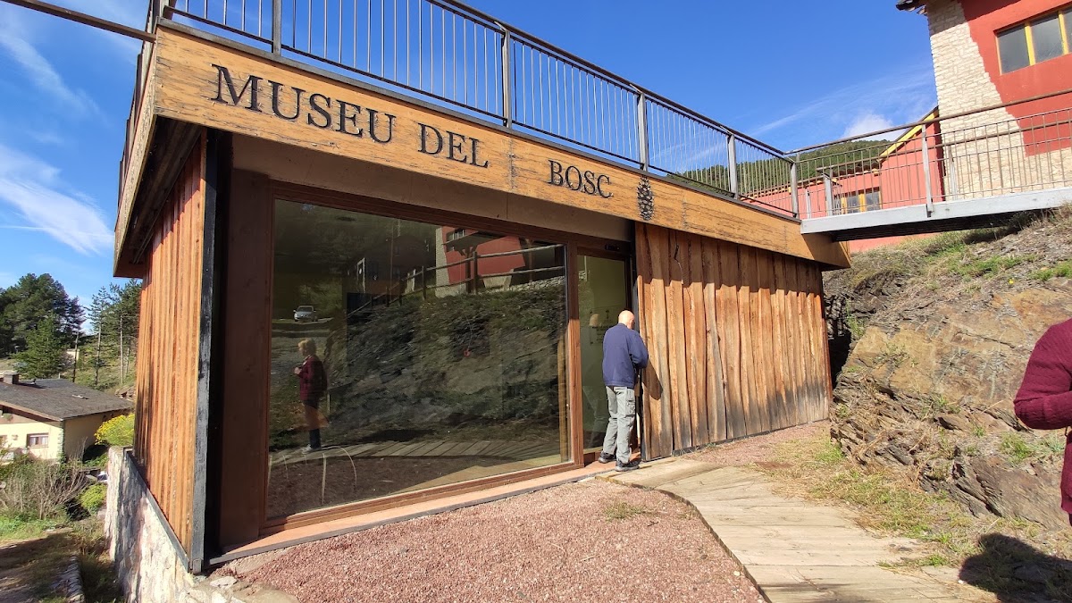 Sequer de les pinyes – Museu del Bosc