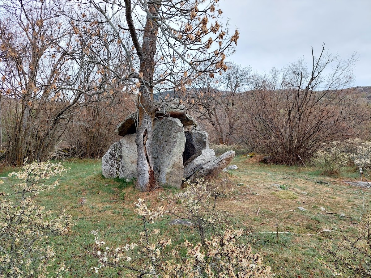 Dolmen de Brangoli