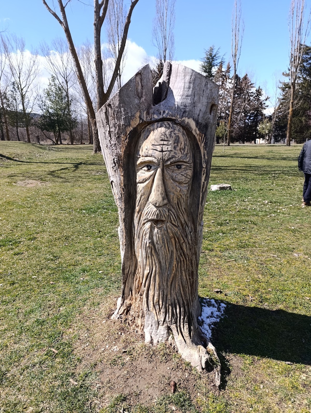 Cara a l&rsquo;arbre