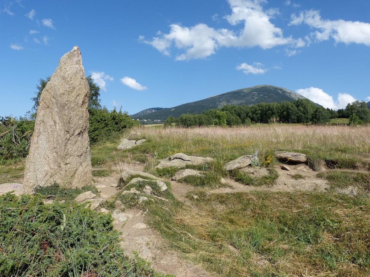 Menhir de Lo Port