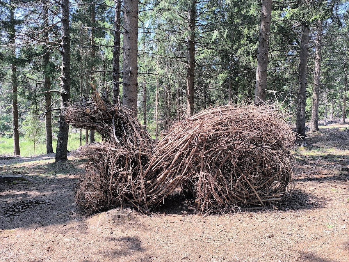 Écureuil Land Art