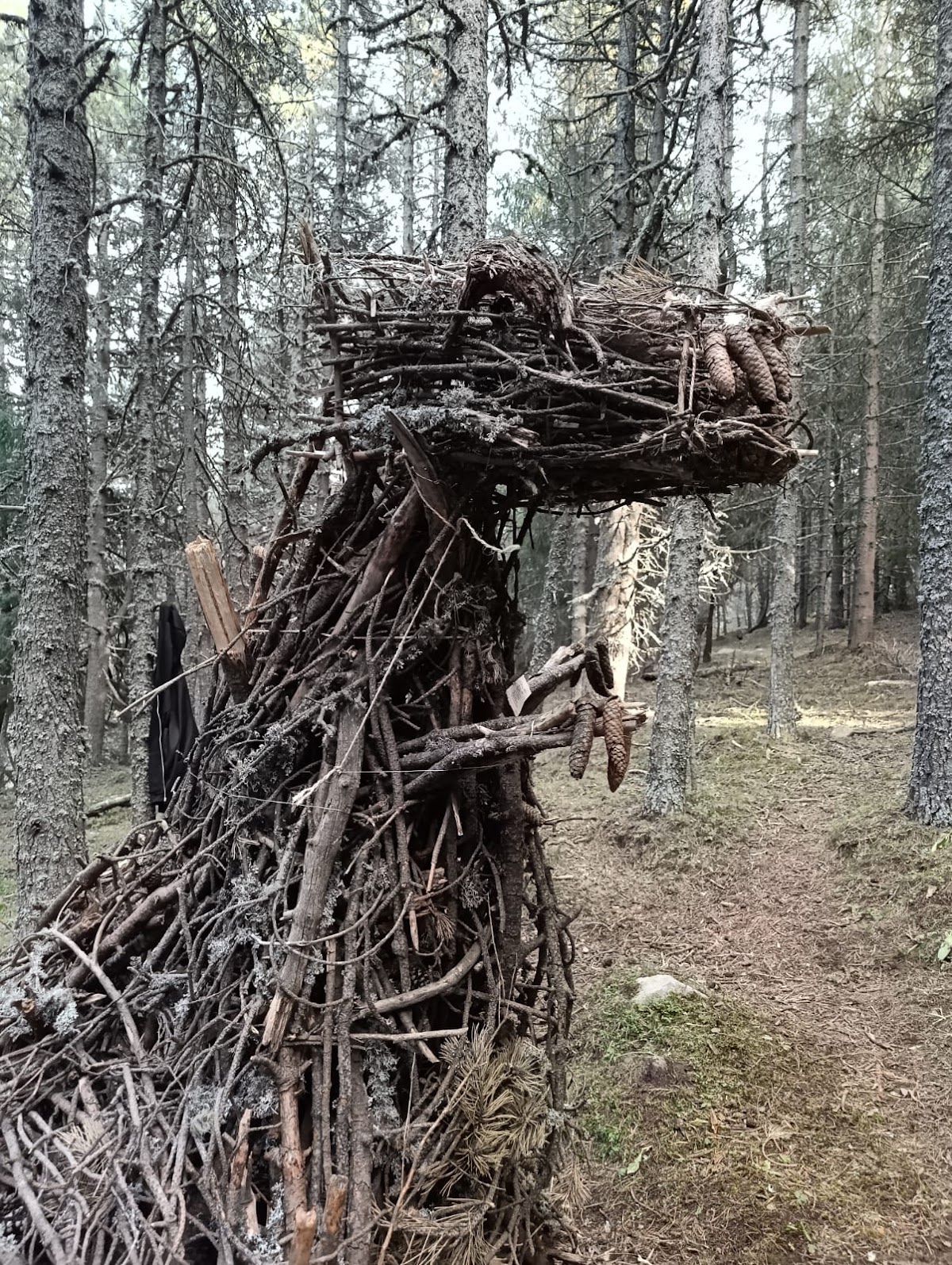 Land Art Dinosaur 🦖