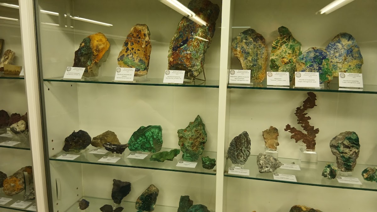 Musée géologique