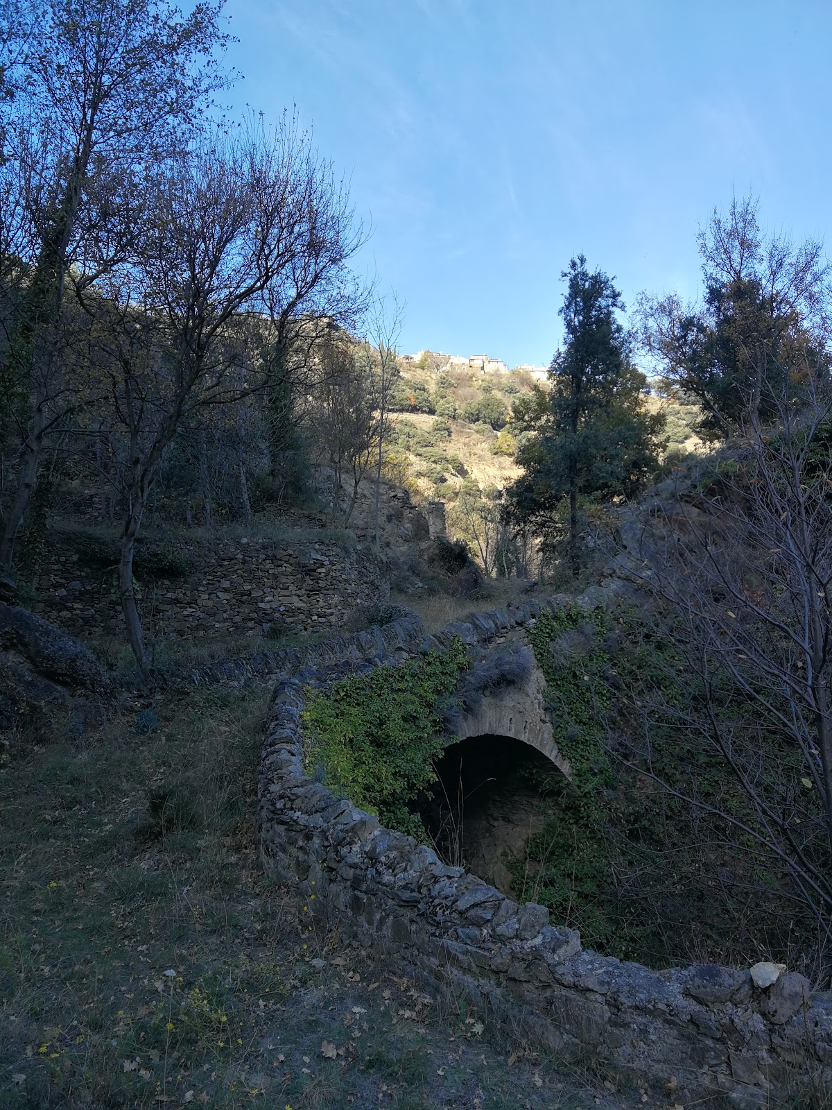 Castell de Serola