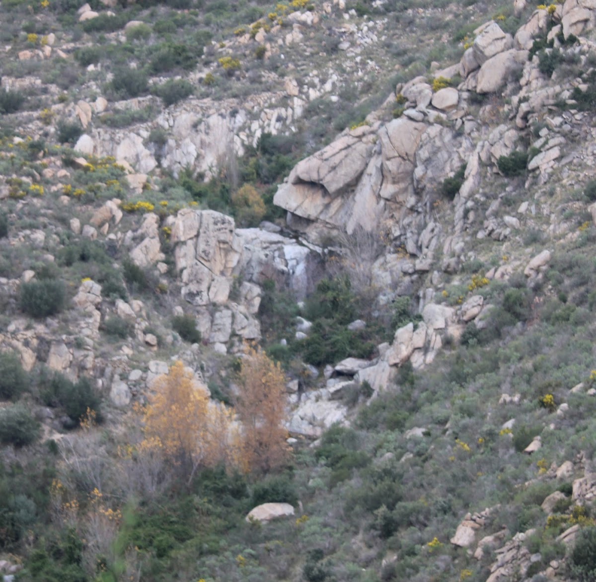 Cascade