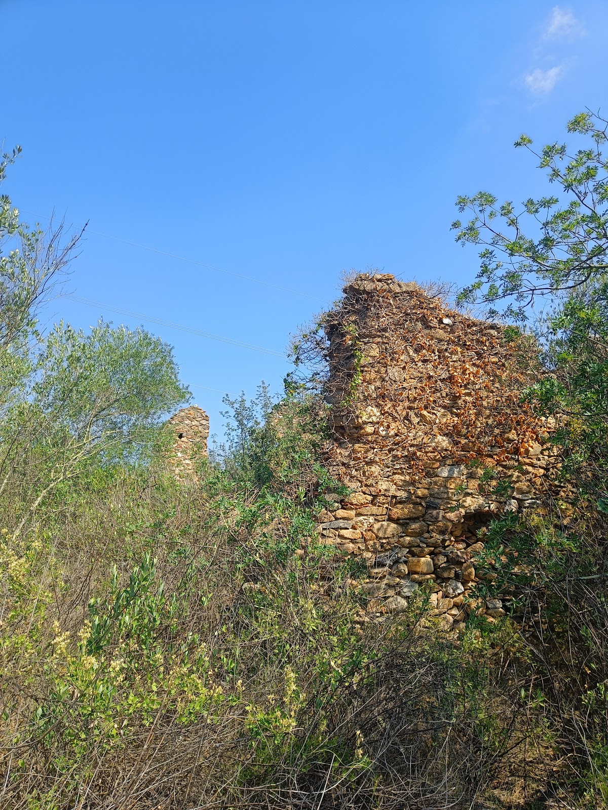 Castell d&rsquo;Espirà de Conflent