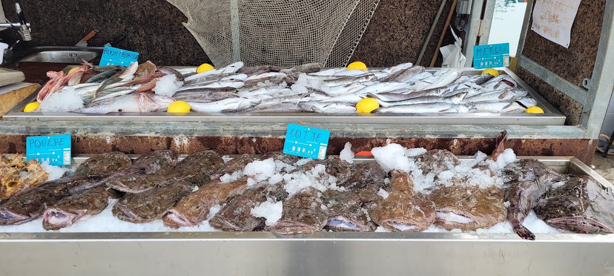 Vente de poisson port vendres