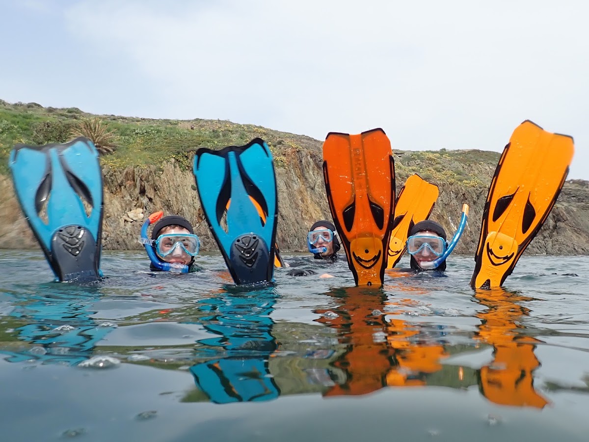 Nostra Mar – Randonnée palmée/Snorkeling