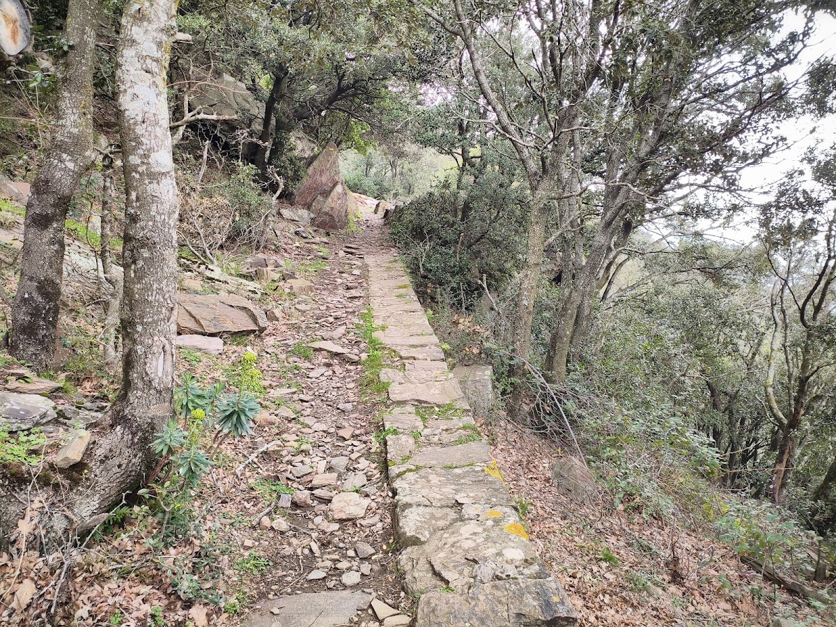 Tunel du chemin de l&rsquo;eau
