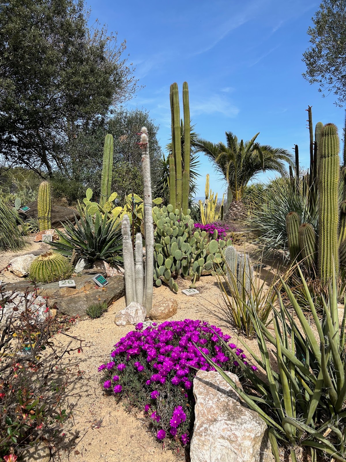 Arboretum C.C.E.A.M.E