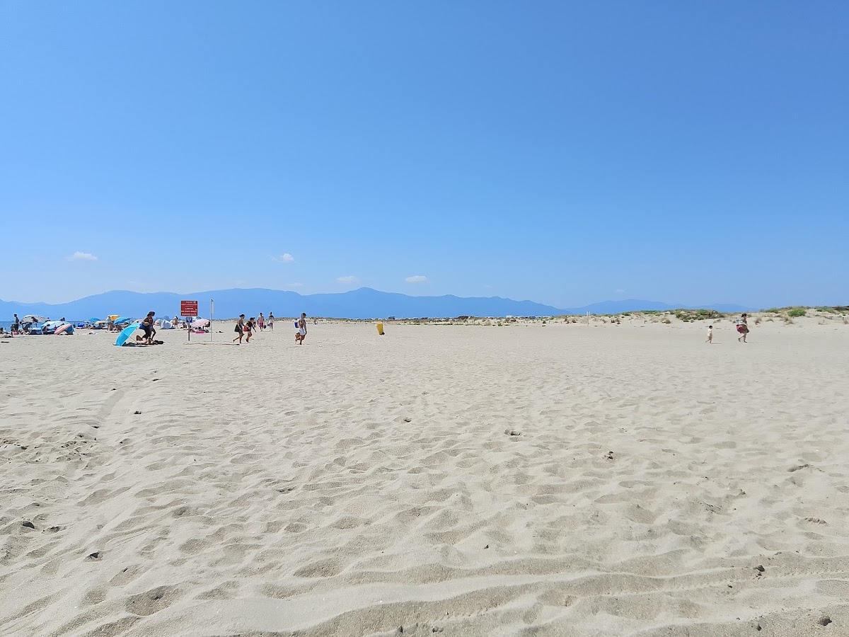 Plage du Mar Estang