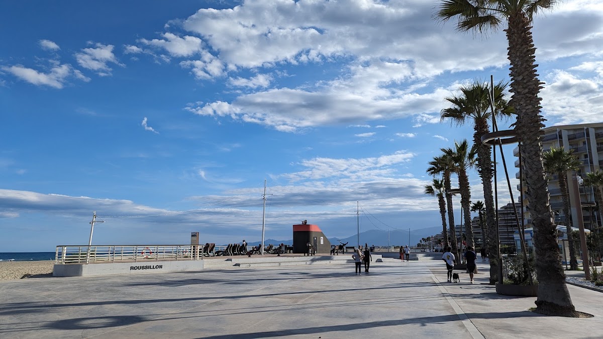 Le Paquebot « Roussillon » sur la plage