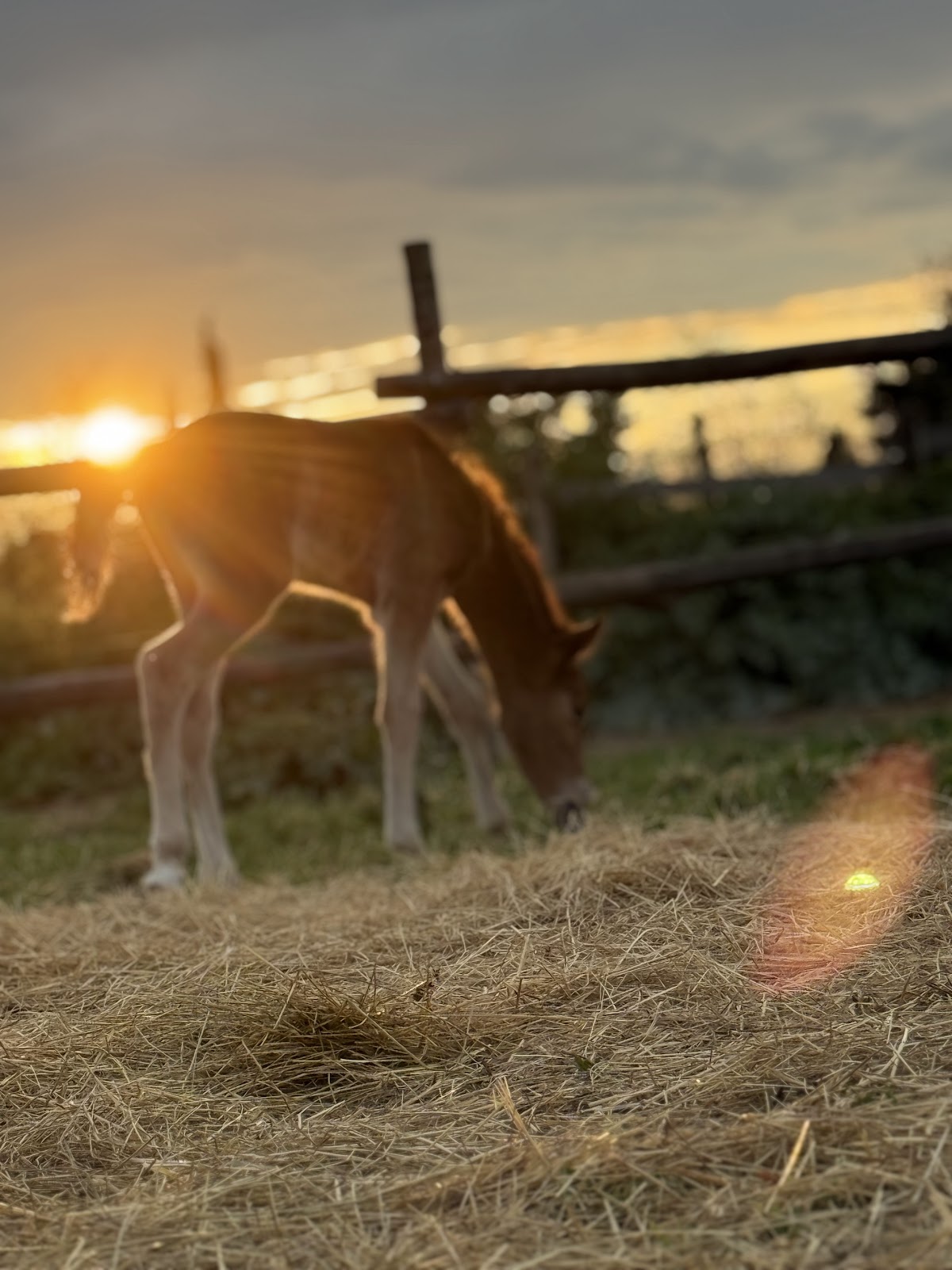 La ferme de Marcel