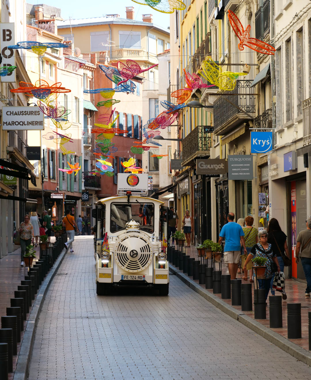LE PETIT TRAIN DE PERPIGNAN
