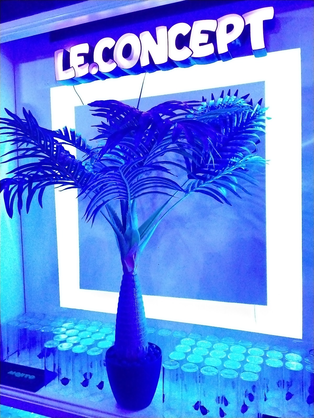 LE CONCEPT
