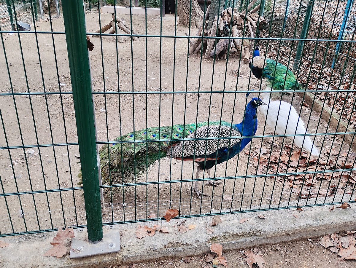 Parc de bompas