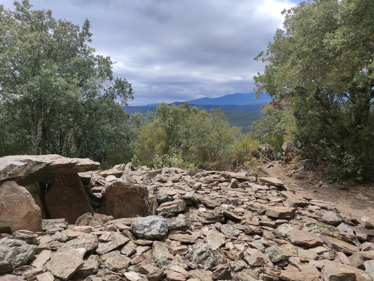 Dolmen de Caixas
