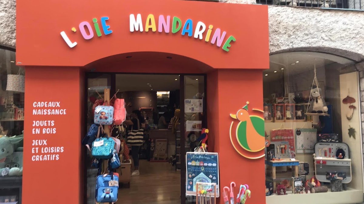 L&rsquo;Oie Mandarine