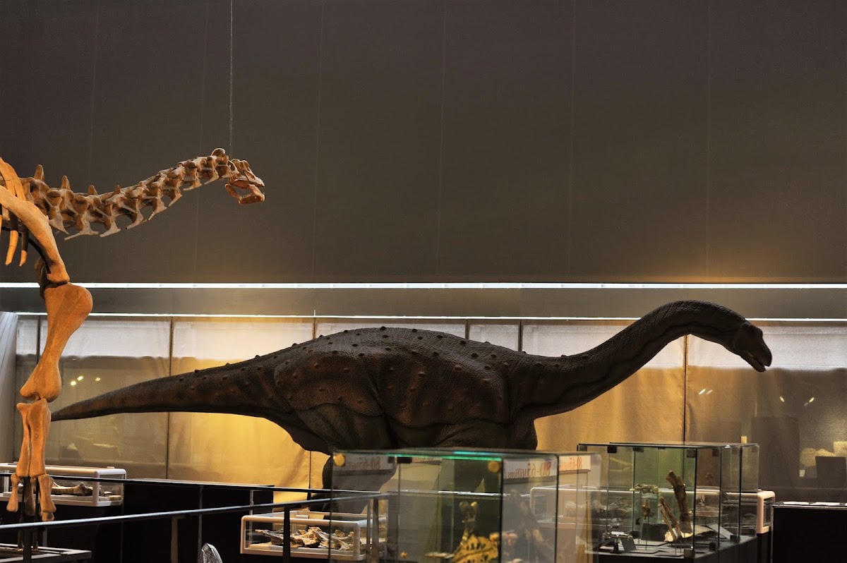 Musée des Dinosaures d&rsquo;Espéraza