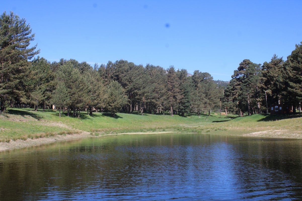 Ponton du golfe