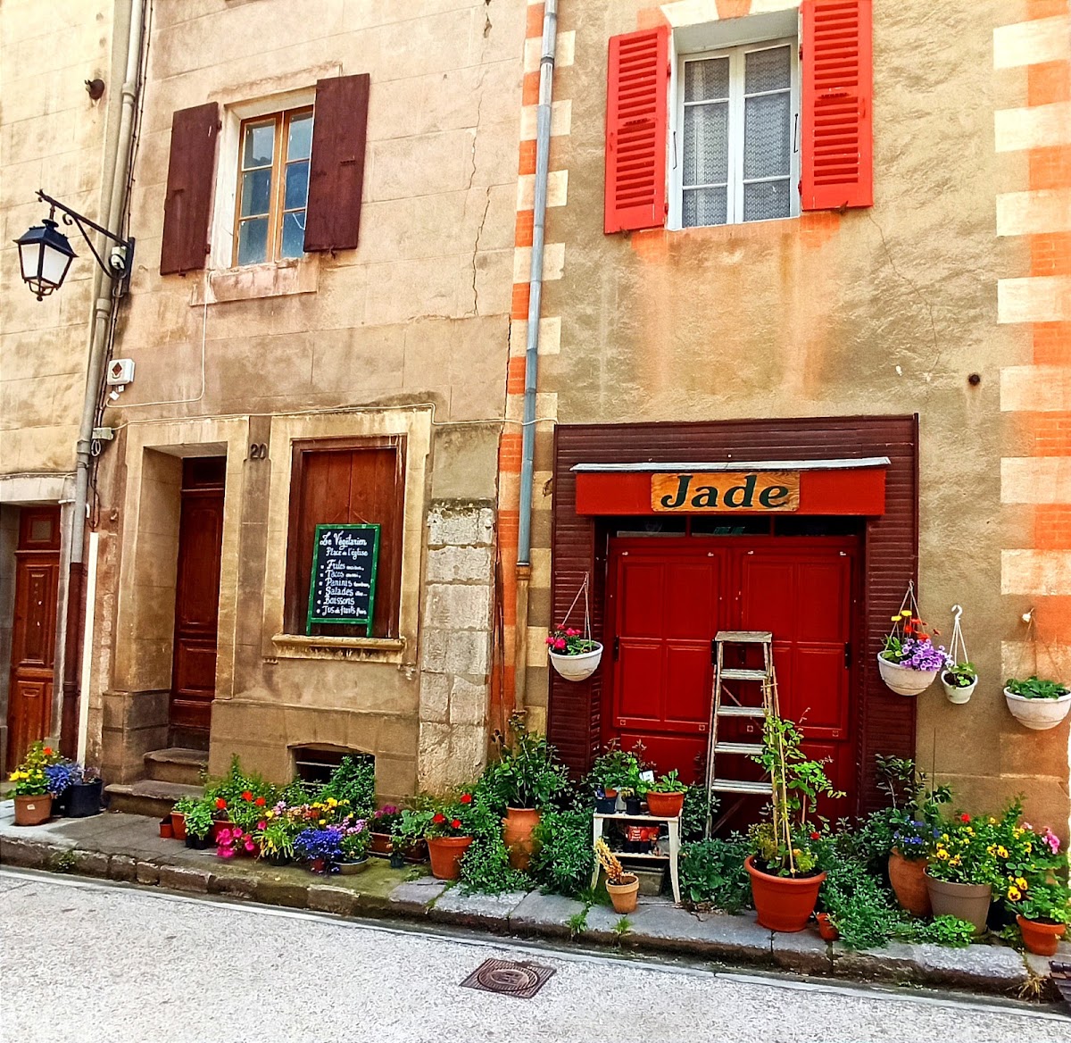 Le Végétarien