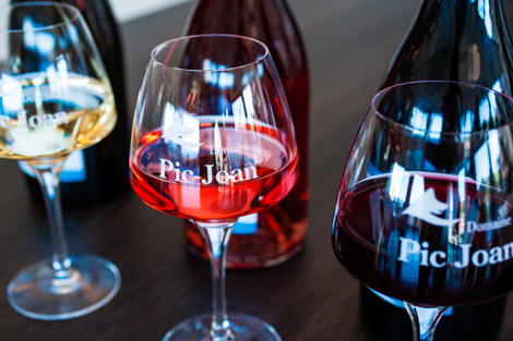 Domaine Pic Joan