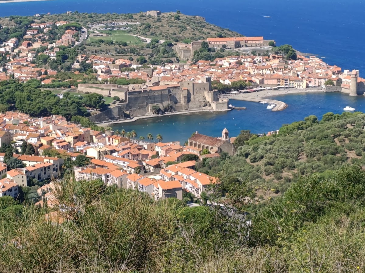 Rue piétonne de Collioure