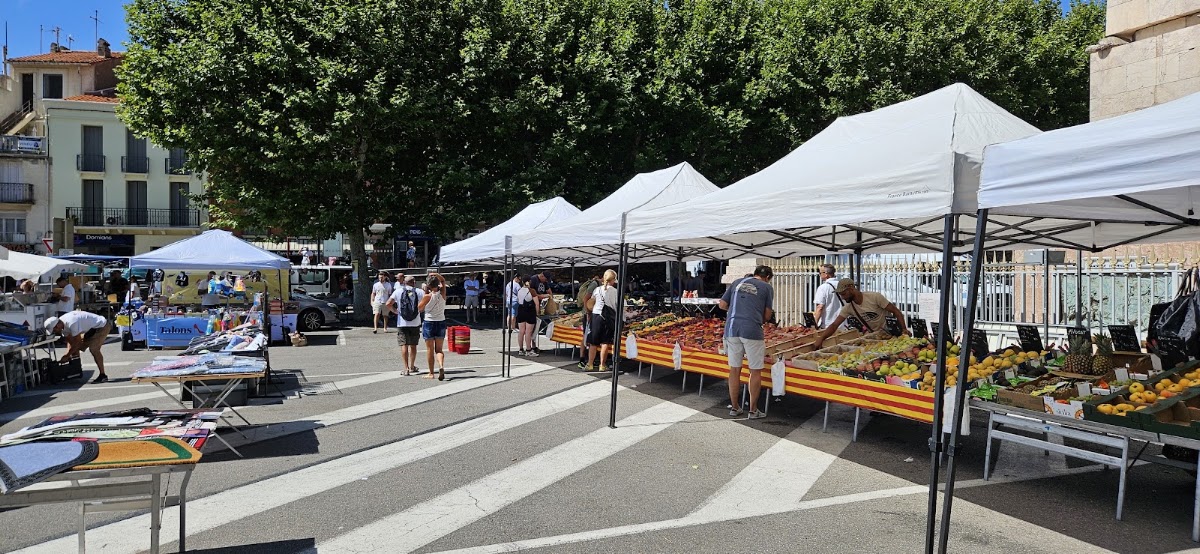 Les anchois de marie